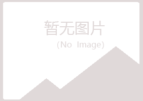 白城字迹电讯有限公司